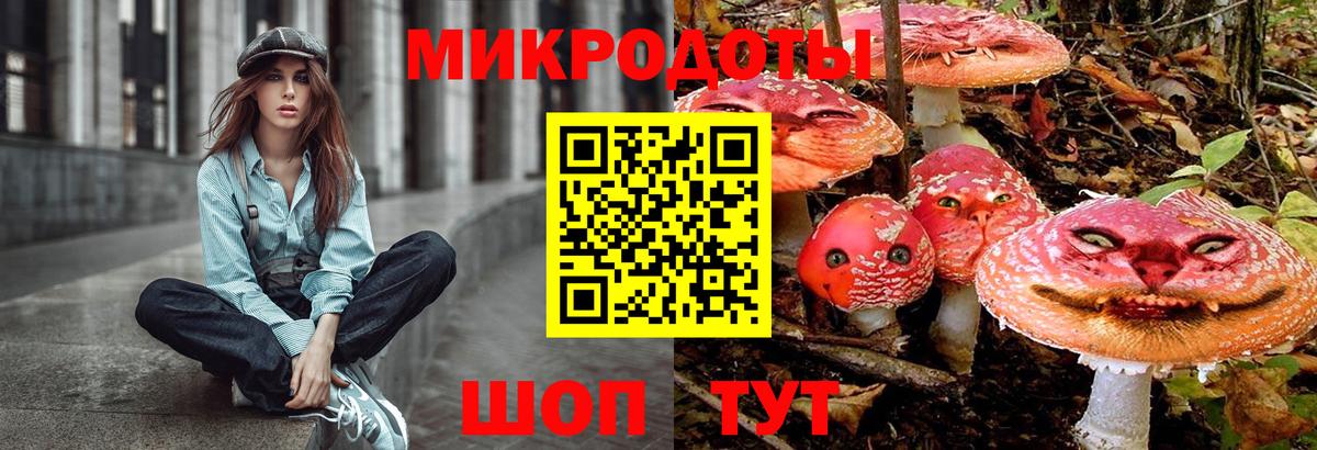 Псилоцибиновые грибы Psilocybine cubensis Белорецк