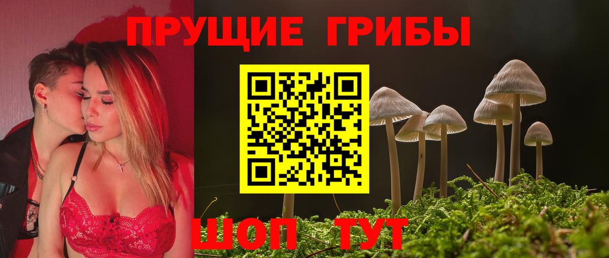 Галлюциногенные грибы Psilocybine cubensis  Вход с VPN  купить  цена  Белорецк 